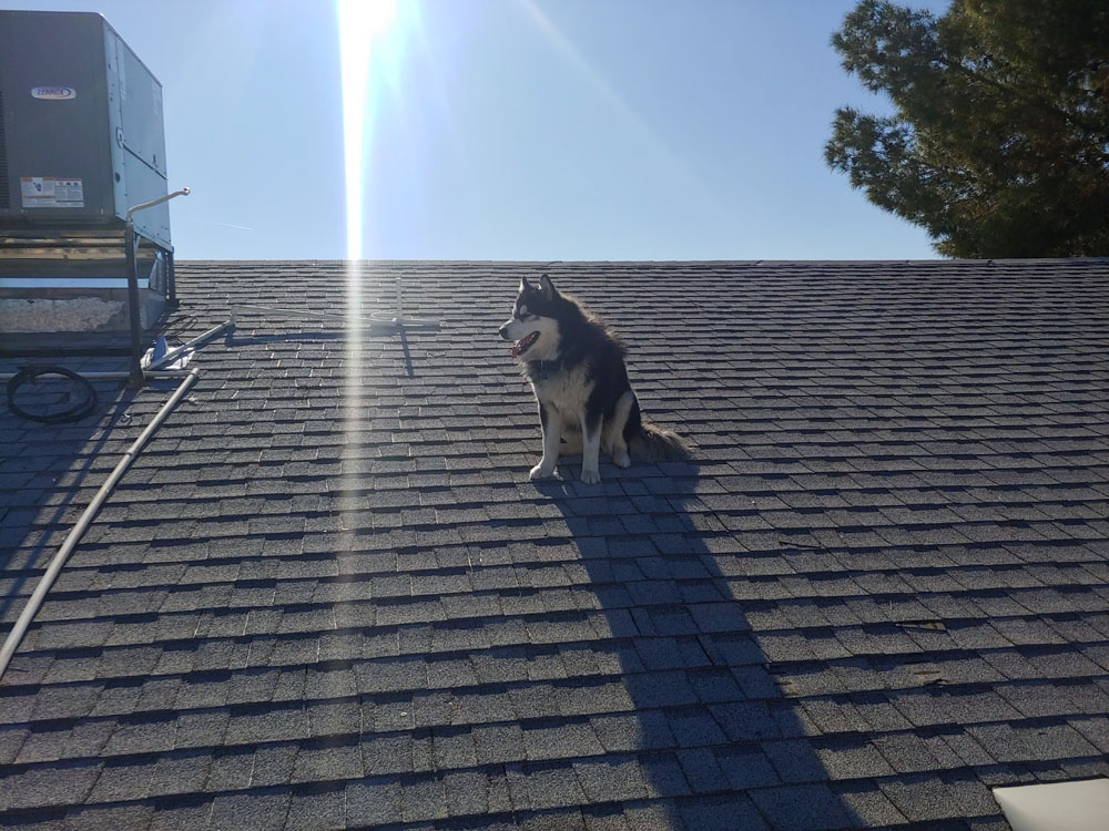 roof-it-right-pic